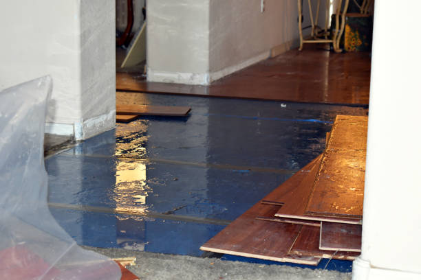 Professional Water Damage Restoration technician working in Martensdale, IA